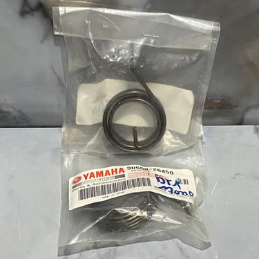 RESORTE ARRANQUE DT175K / MONO ORIGINAL