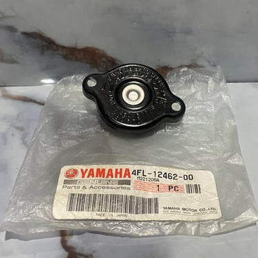 TAPON RADIADOR DT200R ORIGINAL