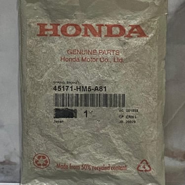 RESORTE ZAPATA FRENO TRXS ORIGINAL