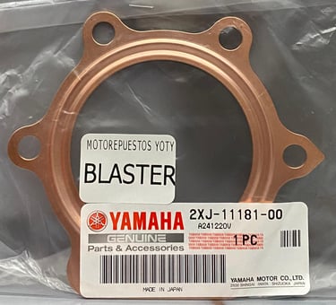 EMPAQUE CABEZOTE BLASTER ORIGINAL