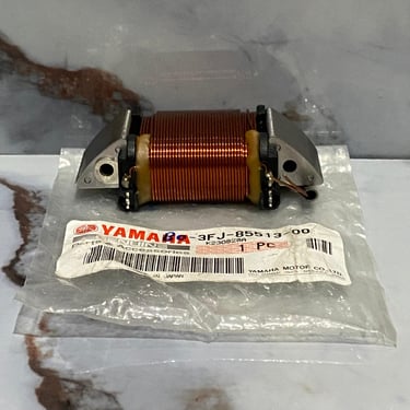 BOBINA LUZ DTK 175 12V