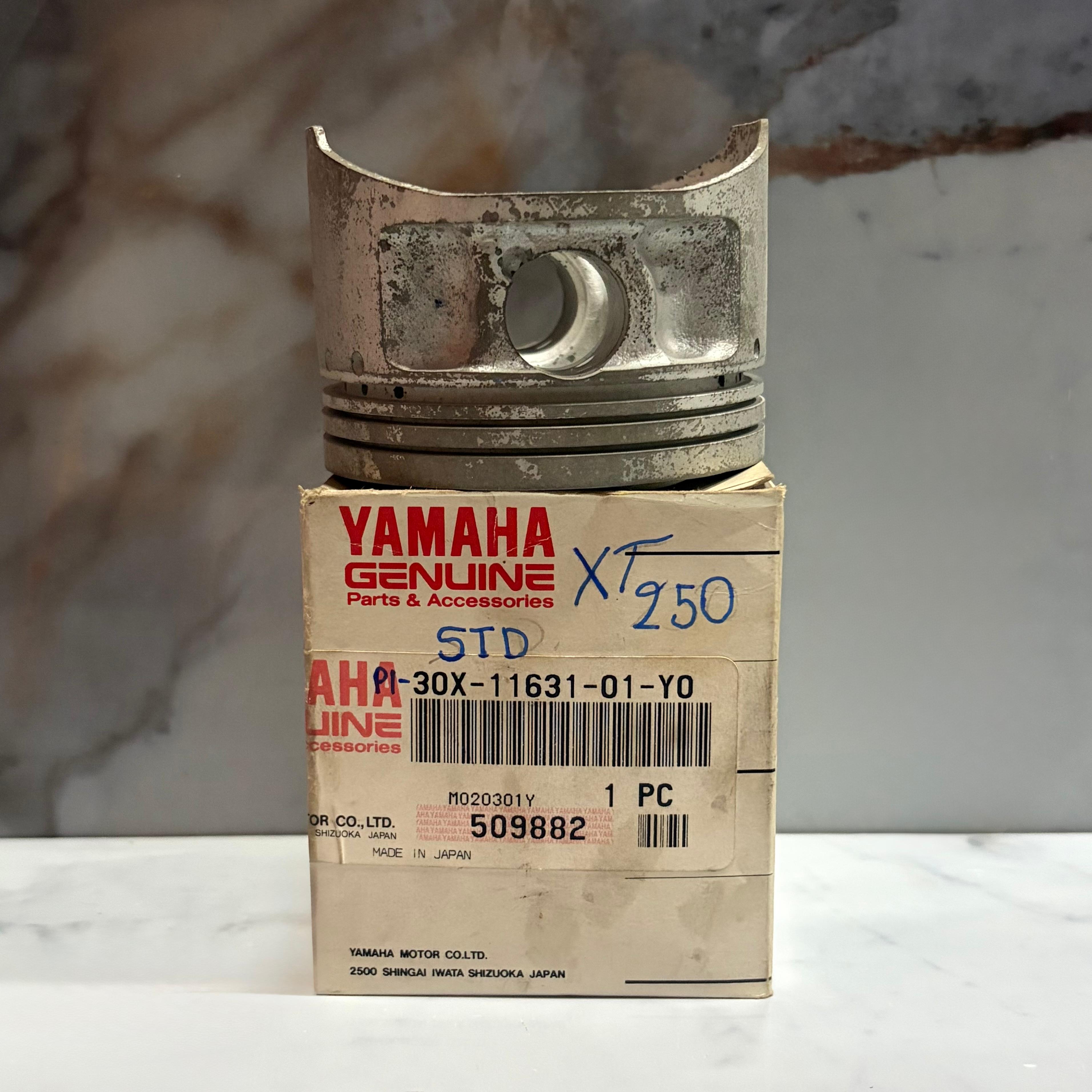 PISTON XT 250 STD ORIGINAL