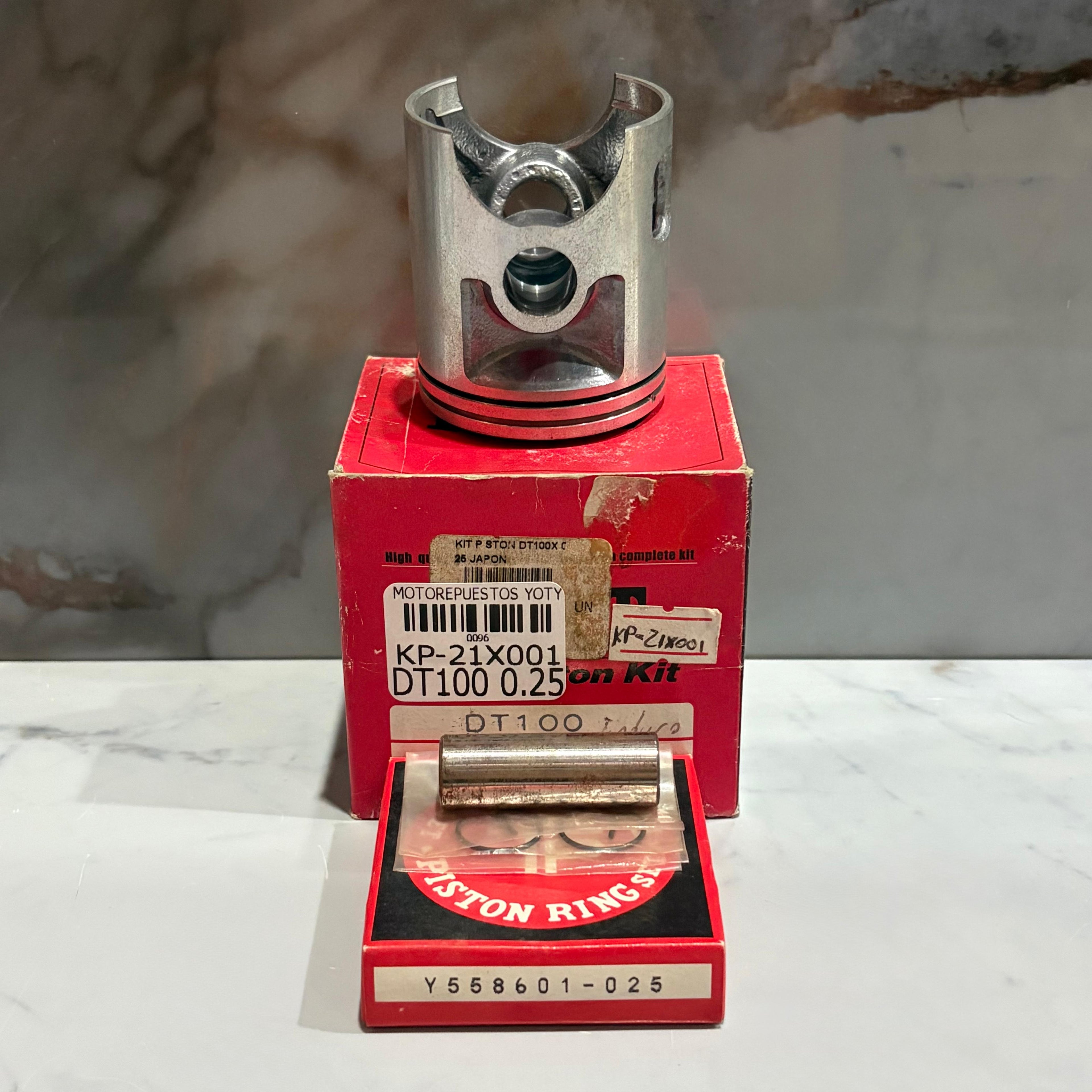 KIT PISTON DT100 0.25
