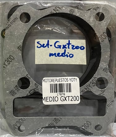 SET MEDIO EMPAQUES GXT200 / DR200