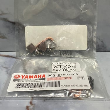 CARBONES SET ARRANCADOR XT225 / RAPTOR250 ORIGINAL