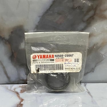 RESORTE ARRANQUE DT200 / BLASTER / 2R ORIGINAL