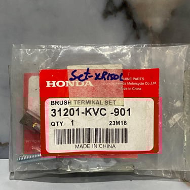 SET CARBONES XR150L ORIGINALES