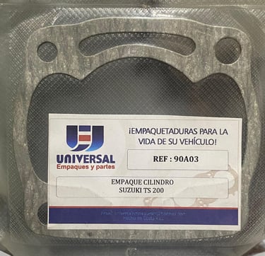 EMPAQUE DE CILINDRO DE TS 200 COLOMBIANO